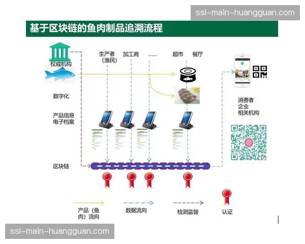 区块链技术应用于关键物资溯源，强化过程透明度与可信度