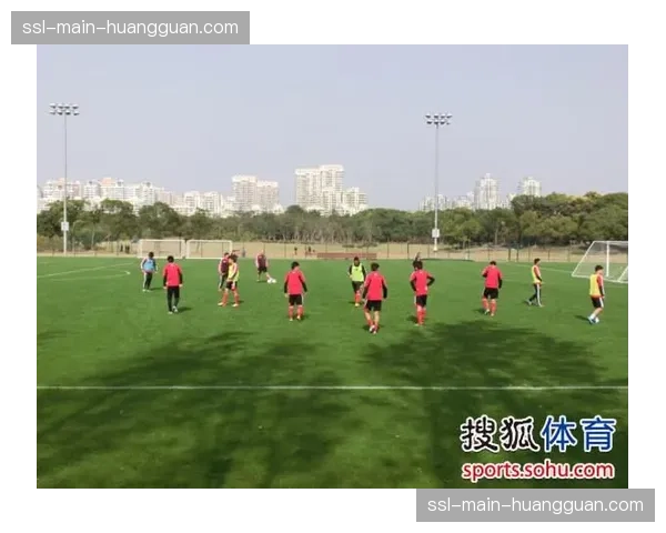 场边教练组通过平板电脑实时查看对方前锋的接球习惯数据